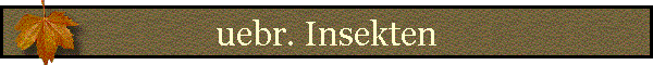 uebr. Insekten