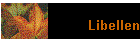 Libellen