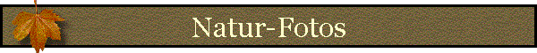 Natur-Fotos