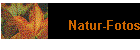 Natur-Fotos