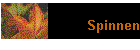 Spinnen