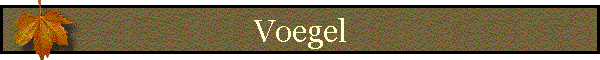 Voegel